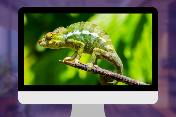 Implementation based on existing features